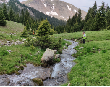 Geomorphic survey of alpine stream